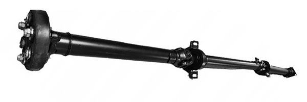 Gelenkwelle, Achsantrieb PS0010 kaufen | LIZARTE