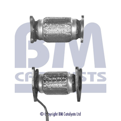 Abgasrohr BM50029 kaufen | BM CATALYSTS