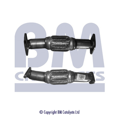 Abgasrohr BM50079 kaufen | BM CATALYSTS