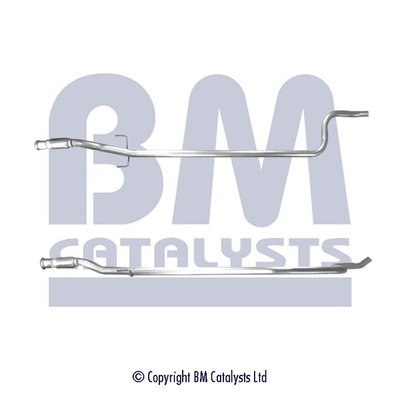 Abgasrohr BM50119 kaufen | BM CATALYSTS