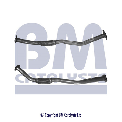 Abgasrohr BM50169 kaufen | BM CATALYSTS