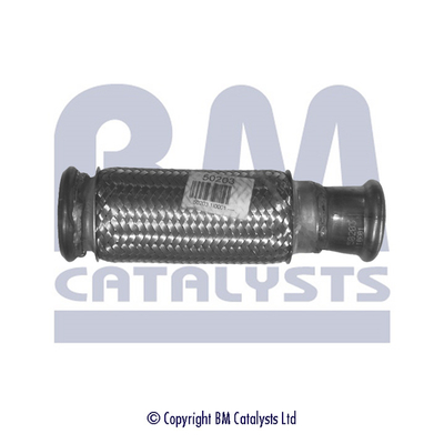 Abgasrohr BM50203 kaufen | BM CATALYSTS