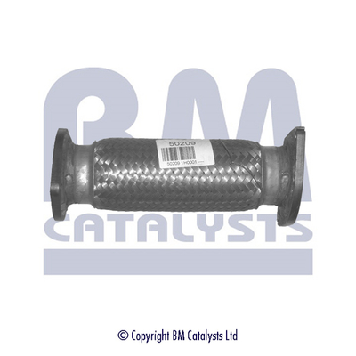 Abgasrohr BM50209 kaufen | BM CATALYSTS
