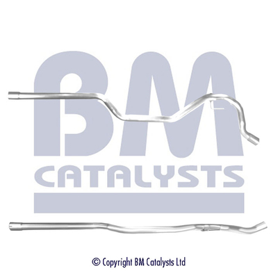 Abgasrohr BM50399 kaufen | BM CATALYSTS