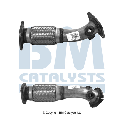 Abgasrohr BM50514 kaufen | BM CATALYSTS
