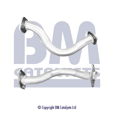Abgasrohr BM50875 kaufen | BM CATALYSTS