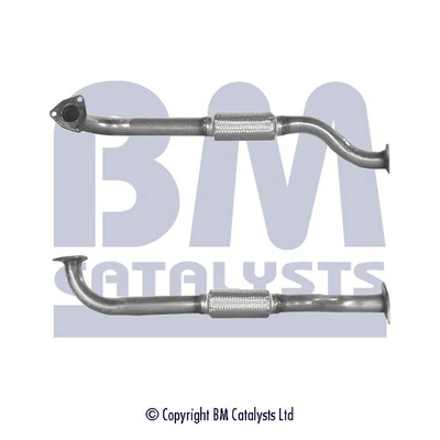 Abgasrohr BM70308 kaufen | BM CATALYSTS