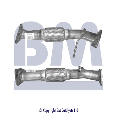 Abgasrohr BM70419 kaufen | BM CATALYSTS