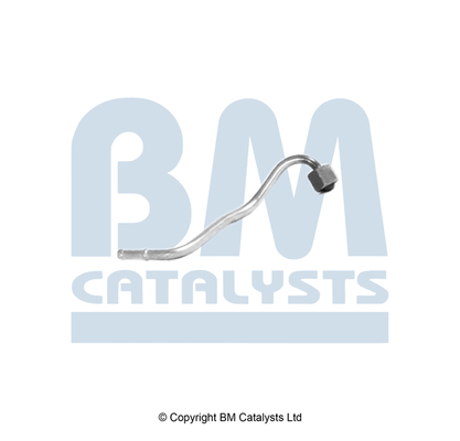 Druckleitung, Drucksensor (Ruß-/Partikelfilter) PP11256A kaufen | BM CATALYSTS