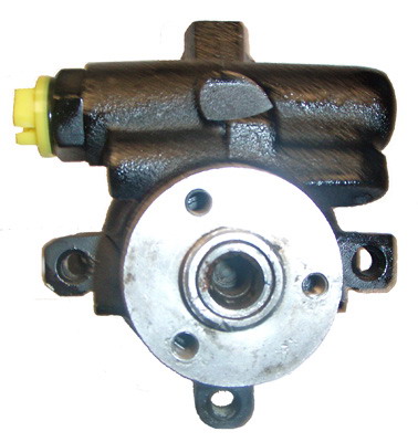 Hydraulikpumpe, Lenkung 04.05.0101 kaufen | LIZARTE