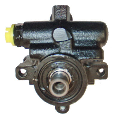 Hydraulikpumpe, Lenkung 04.05.0120 kaufen | LIZARTE