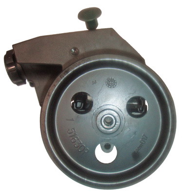 Hydraulikpumpe, Lenkung 04.05.0403-1 kaufen | LIZARTE