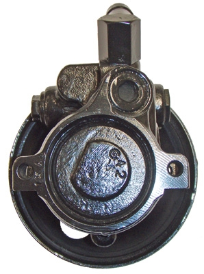 Hydraulikpumpe, Lenkung 04.05.1049-1 kaufen | LIZARTE