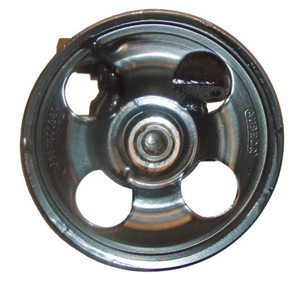 Hydraulikpumpe, Lenkung 04.07.0100-8 kaufen | LIZARTE