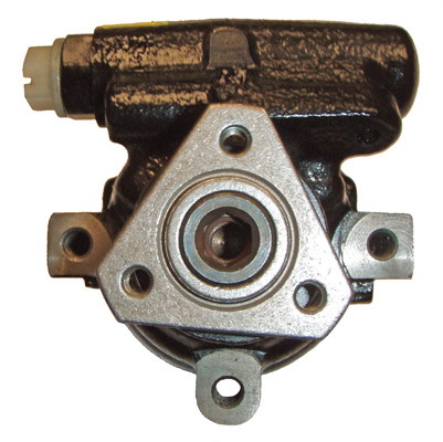 Hydraulikpumpe, Lenkung 04.07.0106 kaufen | LIZARTE
