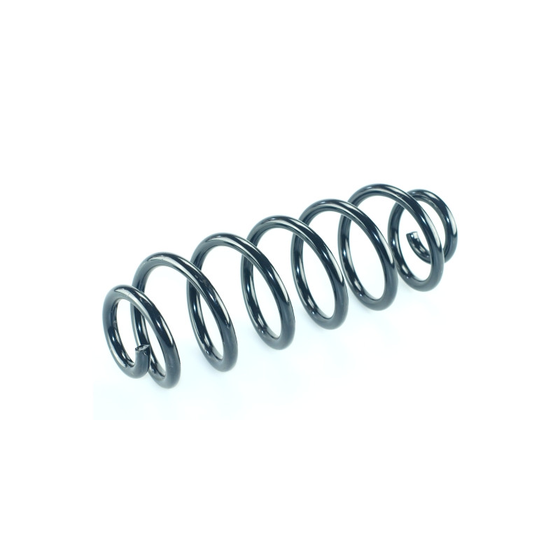 Fahrwerksfeder Hinterachse 14.950.855 kaufen | CS Germany