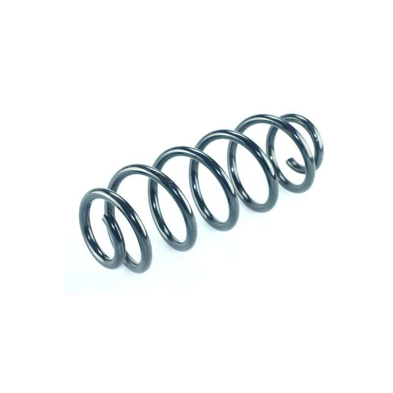 Fahrwerksfeder Hinterachse 14.950.859 kaufen | CS Germany
