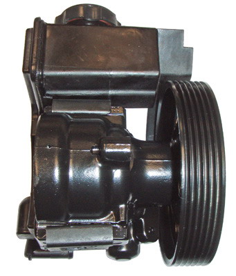 Hydraulikpumpe, Lenkung 04.07.0281 kaufen | LIZARTE