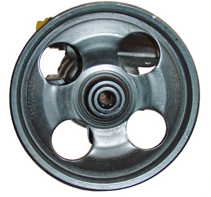 Hydraulikpumpe, Lenkung 04.07.0300-1 kaufen | LIZARTE