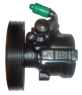 Hydraulikpumpe, Lenkung 04.07.0381-1 kaufen | LIZARTE