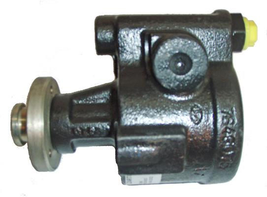 Hydraulikpumpe, Lenkung 04.09.0202 kaufen | LIZARTE