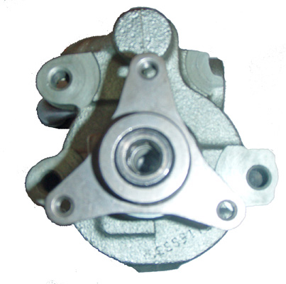 Hydraulikpumpe, Lenkung 04.09.0302 kaufen | LIZARTE