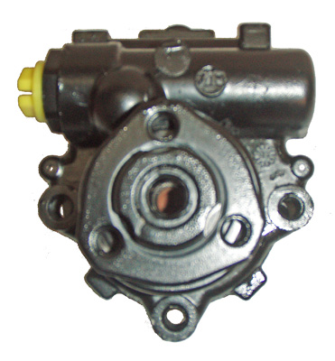 Hydraulikpumpe, Lenkung 04.11.0100 kaufen | LIZARTE