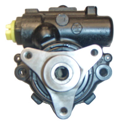 Hydraulikpumpe, Lenkung 04.11.0102 kaufen | LIZARTE