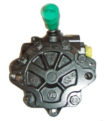 Hydraulikpumpe, Lenkung 04.11.0105 kaufen | LIZARTE
