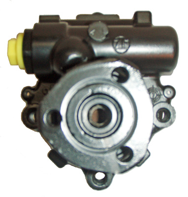 Hydraulikpumpe, Lenkung 04.11.0105 kaufen | LIZARTE