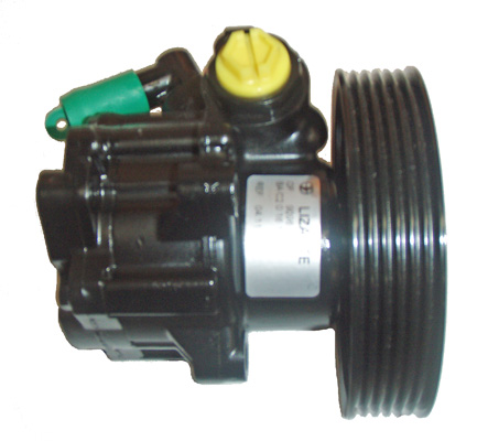 Hydraulikpumpe, Lenkung 04.11.0201-1 kaufen | LIZARTE