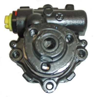 Hydraulikpumpe, Lenkung 04.11.0206 kaufen | LIZARTE