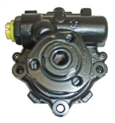 Hydraulikpumpe, Lenkung 04.11.0207 kaufen | LIZARTE