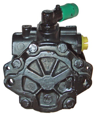 Hydraulikpumpe, Lenkung 04.11.0245-5 kaufen | LIZARTE