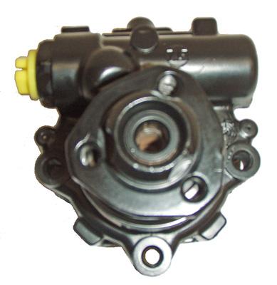 Hydraulikpumpe, Lenkung 04.11.0271 kaufen | LIZARTE