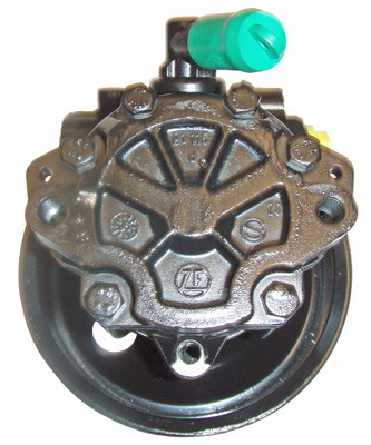 Hydraulikpumpe, Lenkung 04.11.0272-1 kaufen | LIZARTE