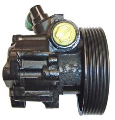 Hydraulikpumpe, Lenkung 04.13.0041-1 kaufen | LIZARTE
