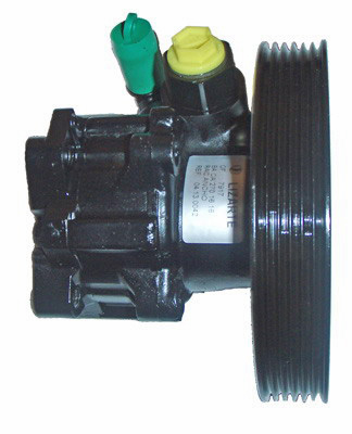 Hydraulikpumpe, Lenkung 04.13.0042-5 kaufen | LIZARTE
