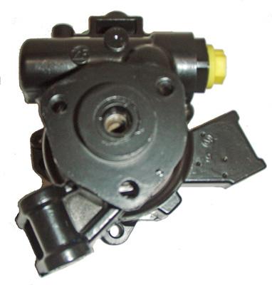 Hydraulikpumpe, Lenkung 04.13.0096 kaufen | LIZARTE