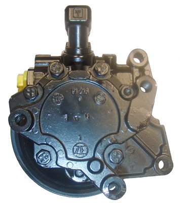 Hydraulikpumpe, Lenkung 04.13.0102 kaufen | LIZARTE