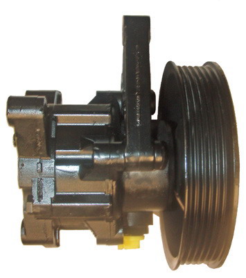 Hydraulikpumpe, Lenkung 04.13.0102 kaufen | LIZARTE