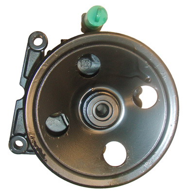 Hydraulikpumpe, Lenkung 04.13.0102 kaufen | LIZARTE