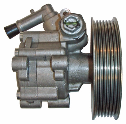 Hydraulikpumpe, Lenkung 04.16.0100-1 kaufen | LIZARTE