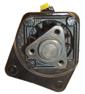 Hydraulikpumpe, Lenkung 04.23.0124 kaufen | LIZARTE