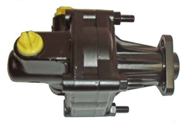 Hydraulikpumpe, Lenkung 04.23.0156 kaufen | LIZARTE