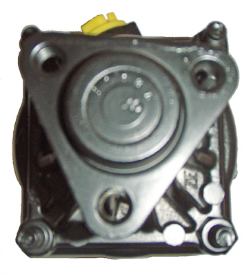 Hydraulikpumpe, Lenkung 04.23.0156 kaufen | LIZARTE