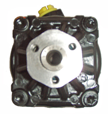 Hydraulikpumpe, Lenkung 04.23.0232 kaufen | LIZARTE