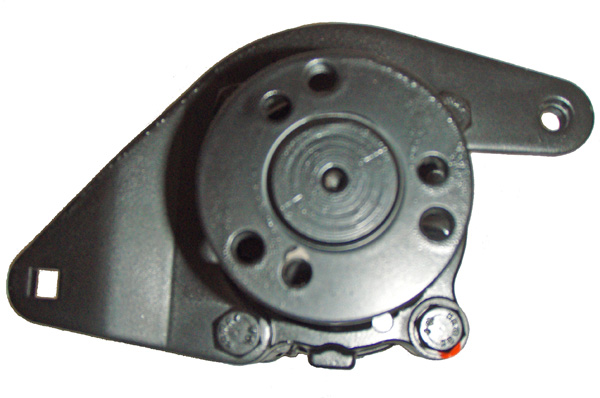 Hydraulikpumpe, Lenkung 04.23.0300 kaufen | LIZARTE