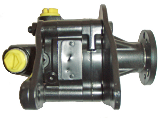 Hydraulikpumpe, Lenkung 04.23.0300 kaufen | LIZARTE