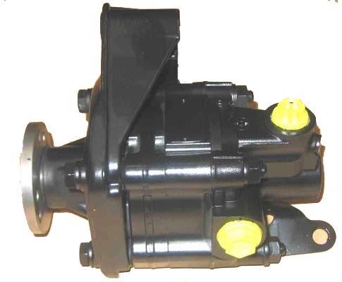 Hydraulikpumpe, Lenkung 04.23.0302 kaufen | LIZARTE